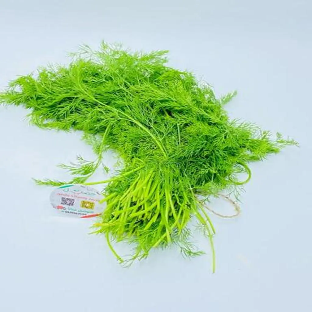 Dill